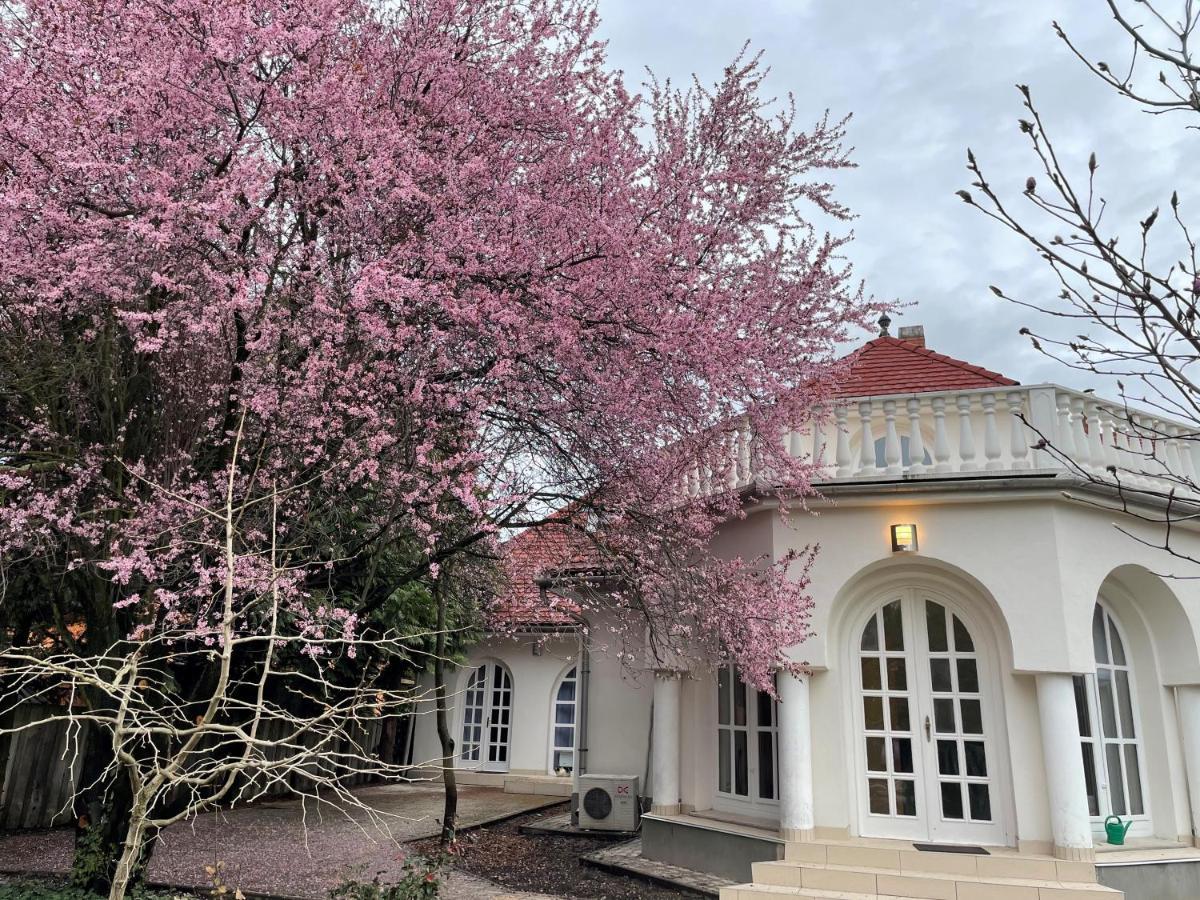 Bed and Breakfast Sungarden Vendeghaz Sajoszoged Экстерьер фото